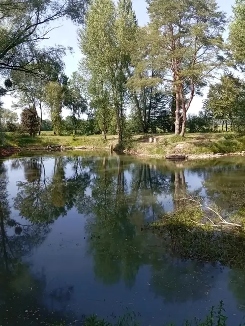 Reflets d'été