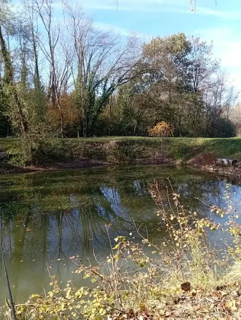 Lumière d'automne