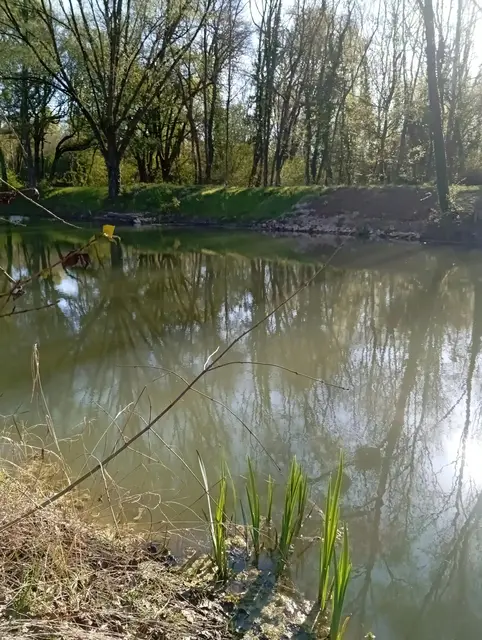 Fin de saison